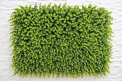 《妹相随》新DLC上线 好评黑白调恋爱冒险